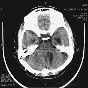 20190321/5c9345ba05974.jpg 327.jpg